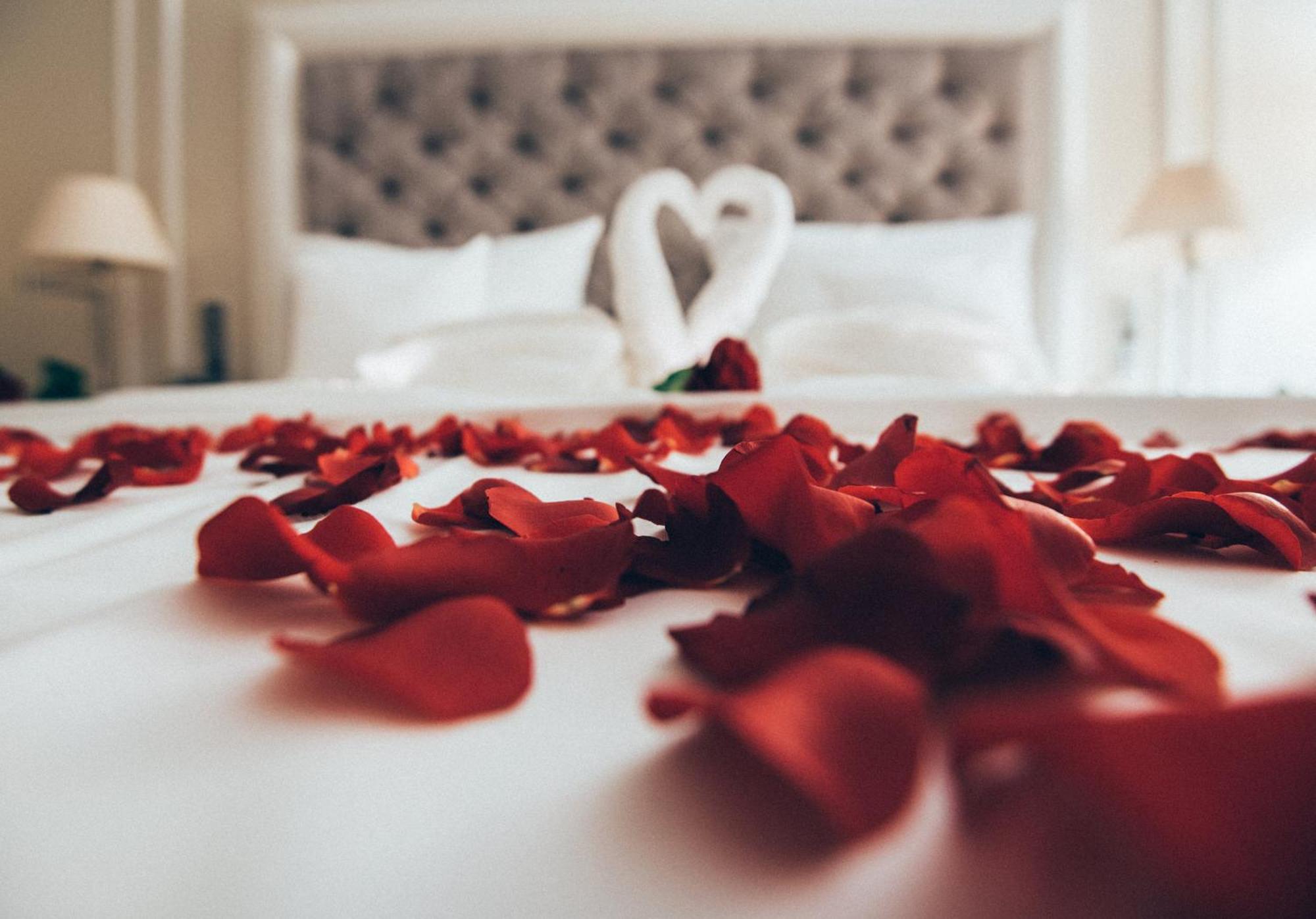 Holiday Inn - The Niu, Amity Potsdam By Ihg 외부 사진